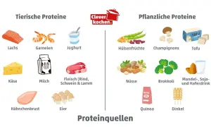 Übersicht über tierische und pflanzliche Proteine: Lachs, Garnelen, Joghurt, Fleisch, Käse, Milch, Hähnchenbrust, Eier sowie Hülsenfrüchte, Champignons, Tofu, Nüsse, Brokkoli, Quinoa, Dinkel und Drinks. Eine Proteine Lebensmittel Tabelle.