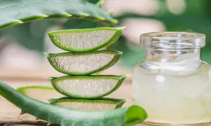 Frische Aloe Vera Scheiben und Gel in einem Glas. Ein gesunder Weg, Aloe Vera zu essen.