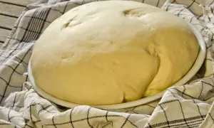 Ein großer, aufgegangener Hefeteig ruht auf einem Teller, bedeckt mit einem karierten Tuch. Perfekt, um ihn gehen zu lassen.