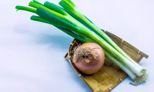 Ein Bund Frühlingszwiebeln liegt neben einer Zwiebel in einem geflochtenen Korb. Ist Lauch und Porree das Gleiche?