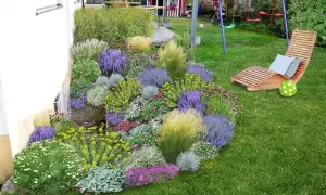 Ein üppig bepflanztes Blumenbeet mit Lavendel, Gräsern und vielen kleinen Blüten neben einem Haus. Perfekt, um **Pflanzsteine bepflanzen** zu lassen und einen schönen Garten zu gestalten.