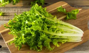 Ein Bund grüner Endivie liegt auf einem Holzbrett. Diese und andere Salatsorten sind auf Bildern und mit Namen leicht zu finden.