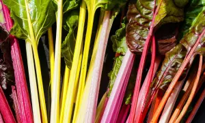 Bunte Mangoldstiele in Rot, Gelb und Rosa, bereit, roh gegessen zu werden. Ein Farbtupfer für jede Mahlzeit.