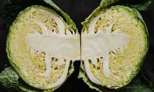 Ein aufgeschnittener Weißkohl zeigt seine zarten, hellgelben Blätter. Perfekt, um wirsing roh essen und gesunde Salate zuzubereiten.