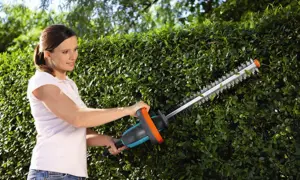 Frau schneidet mit einer Heckenschere eine grüne Hecke.