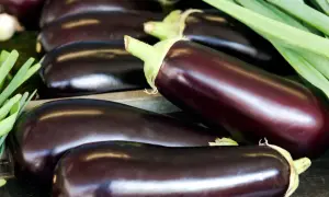Frische Auberginen liegen nebeneinander, bereit, roh gegessen zu werden. Grüne Lauchzwiebeln liegen daneben.