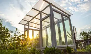 Ein selbstgebautes Tomatenhaus aus Holz und Glas, das im Abendlicht erstrahlt. Perfekt für den Anbau von Tomaten.