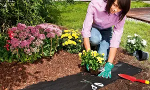 Frau verlegt Unkrautvlies im Garten, um ihre Blumenbeete zu schützen. Werkzeuge wie Schere und Spaten liegen bereit.