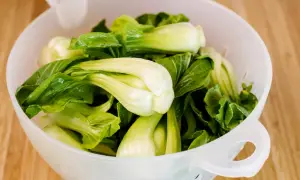 Frischer Pak Choi in einem Sieb, bereit zum rohen Essen. Knackig und grün, eine gesunde Ergänzung für jede Mahlzeit.