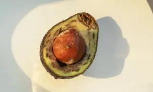 Halbierte Avocado mit braunem Inneren und großem Kern. Die Frucht ist nicht mehr frisch.