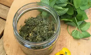 Frisches Giersch-Pesto im Glas, daneben grüne Blätter und gelbe Blüten. Perfekt für Giersch Rezepte.