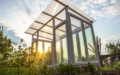 Ein selbstgebautes Tomatenhaus aus Holz und Glas, das im Abendlicht erstrahlt. Perfekt für den Anbau von Tomaten.