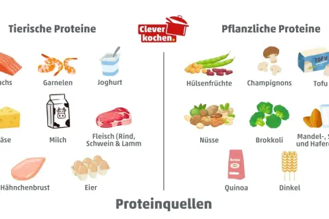 Übersicht über tierische und pflanzliche Proteine: Lachs, Garnelen, Joghurt, Fleisch, Käse, Milch, Hähnchenbrust, Eier sowie Hülsenfrüchte, Champignons, Tofu, Nüsse, Brokkoli, Quinoa, Dinkel und Drinks. Eine Proteine Lebensmittel Tabelle.