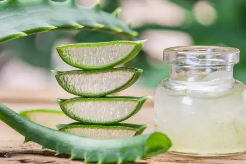 Frische Aloe Vera Scheiben und Gel in einem Glas. Ein gesunder Weg, Aloe Vera zu essen.