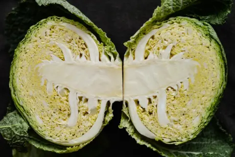 Ein aufgeschnittener Weißkohl zeigt seine zarten, hellgelben Blätter. Perfekt, um wirsing roh essen und gesunde Salate zuzubereiten.