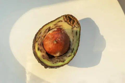Halbierte Avocado mit braunem Inneren und großem Kern. Die Frucht ist nicht mehr frisch.