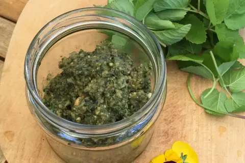 Frisches Giersch-Pesto im Glas, daneben grüne Blätter und gelbe Blüten. Perfekt für Giersch Rezepte.