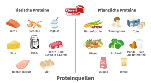 Übersicht über tierische und pflanzliche Proteine: Lachs, Garnelen, Joghurt, Fleisch, Käse, Milch, Hähnchenbrust, Eier sowie Hülsenfrüchte, Champignons, Tofu, Nüsse, Brokkoli, Quinoa, Dinkel und Drinks. Eine Proteine Lebensmittel Tabelle.