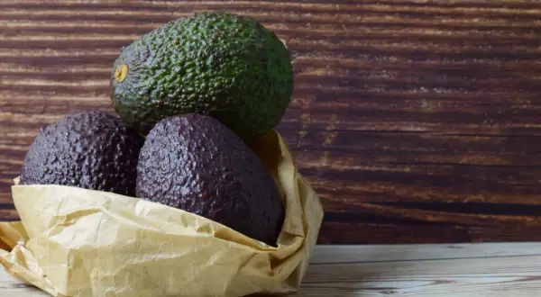 Drei Avocados liegen in einer Papiertüte. Eine grüne Avocado liegt obenauf, zwei dunklere darunter. So kann man Avocados lagern.