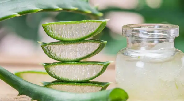 Frische Aloe Vera Scheiben und Gel in einem Glas. Ein gesunder Weg, Aloe Vera zu essen.