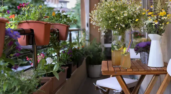 Balkonblumen im Schatten, mit bunten Blüten und grünen Blättern, daneben erfrischende Getränke auf einem Holztisch.