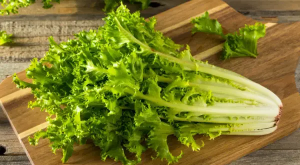 Ein Bund grüner Endivie liegt auf einem Holzbrett. Diese und andere Salatsorten sind auf Bildern und mit Namen leicht zu finden.