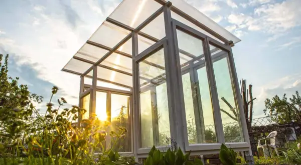 Ein selbstgebautes Tomatenhaus aus Holz und Glas, das im Abendlicht erstrahlt. Perfekt für den Anbau von Tomaten.