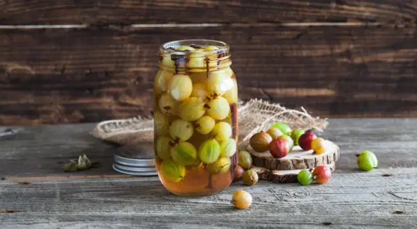 Ein Glas mit stachelbeeren einkochen, daneben liegen einige frische Beeren auf Holzscheiben.