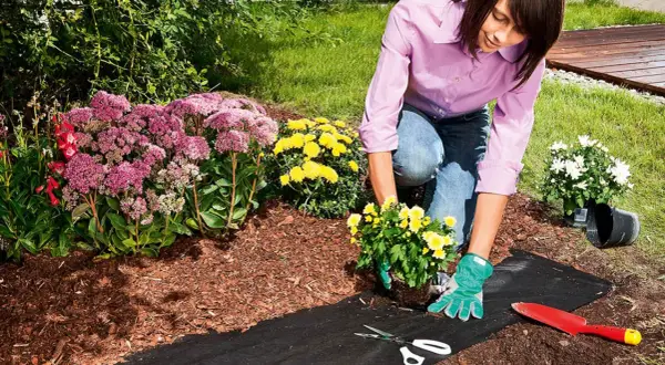 Frau verlegt Unkrautvlies im Garten, um ihre Blumenbeete zu schützen. Werkzeuge wie Schere und Spaten liegen bereit.