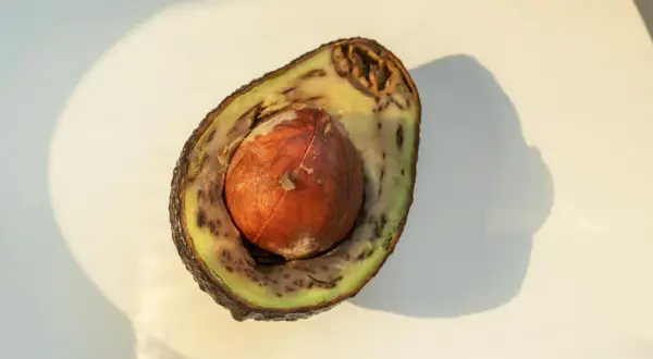 Halbierte Avocado mit braunem Inneren und großem Kern. Die Frucht ist nicht mehr frisch.