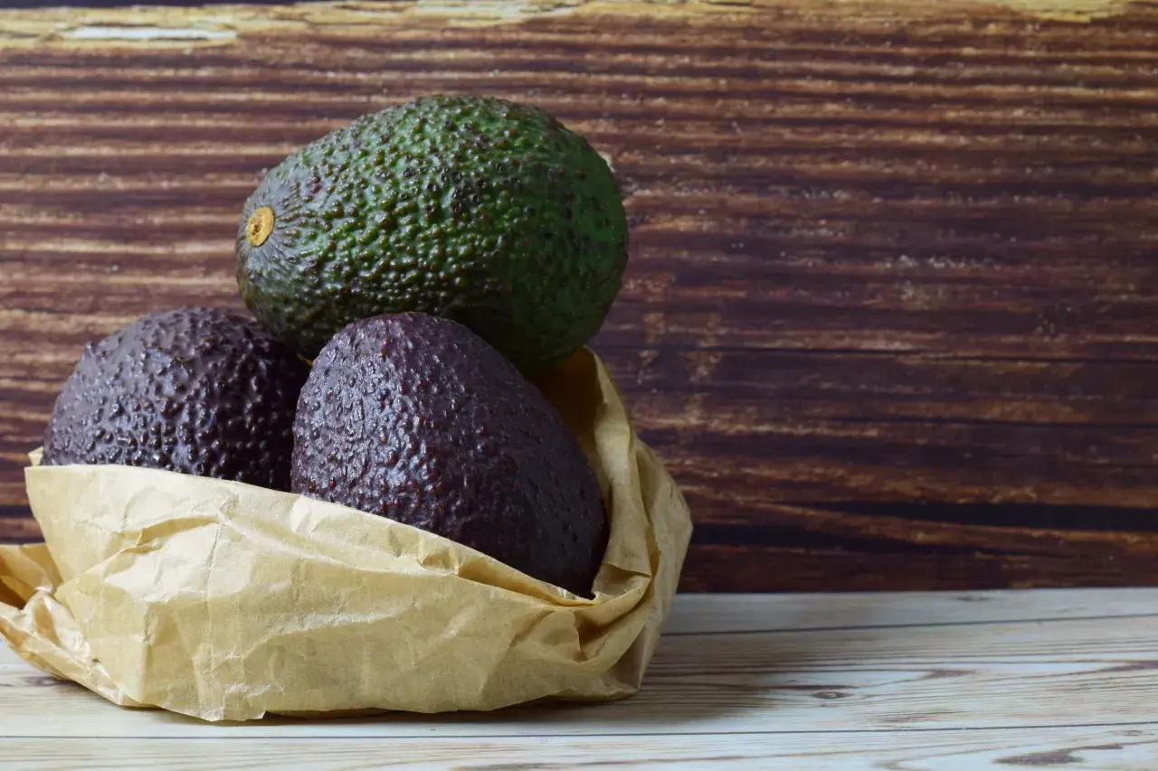 Drei Avocados liegen in einer Papiertüte. Eine grüne Avocado liegt obenauf, zwei dunklere darunter. So kann man Avocados lagern.