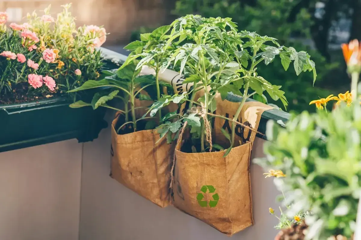 Zwei selbstgemachte Pflanztaschen aus recyceltem Material hängen am Balkongeländer, darin wachsen junge Tomatenpflanzen.