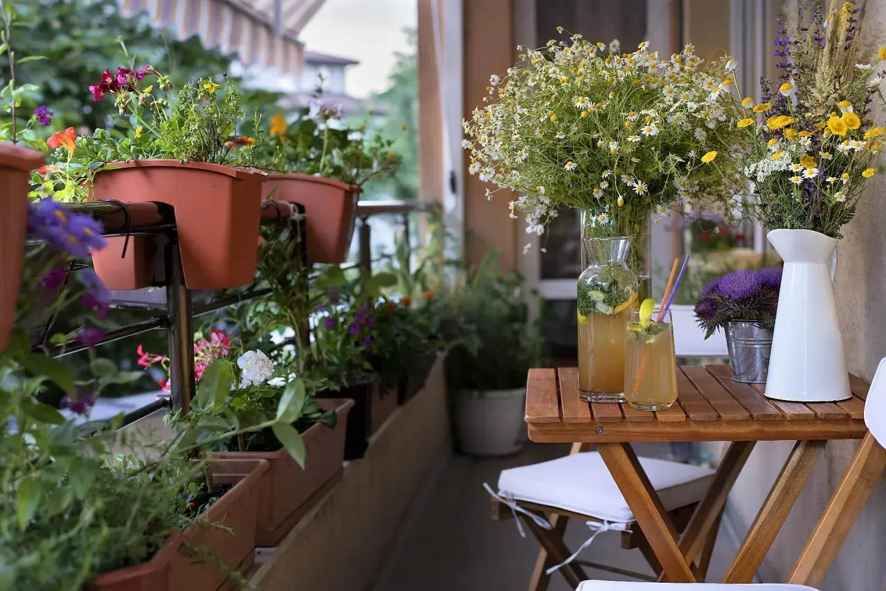 Balkonblumen im Schatten, mit bunten Blüten und grünen Blättern, daneben erfrischende Getränke auf einem Holztisch.