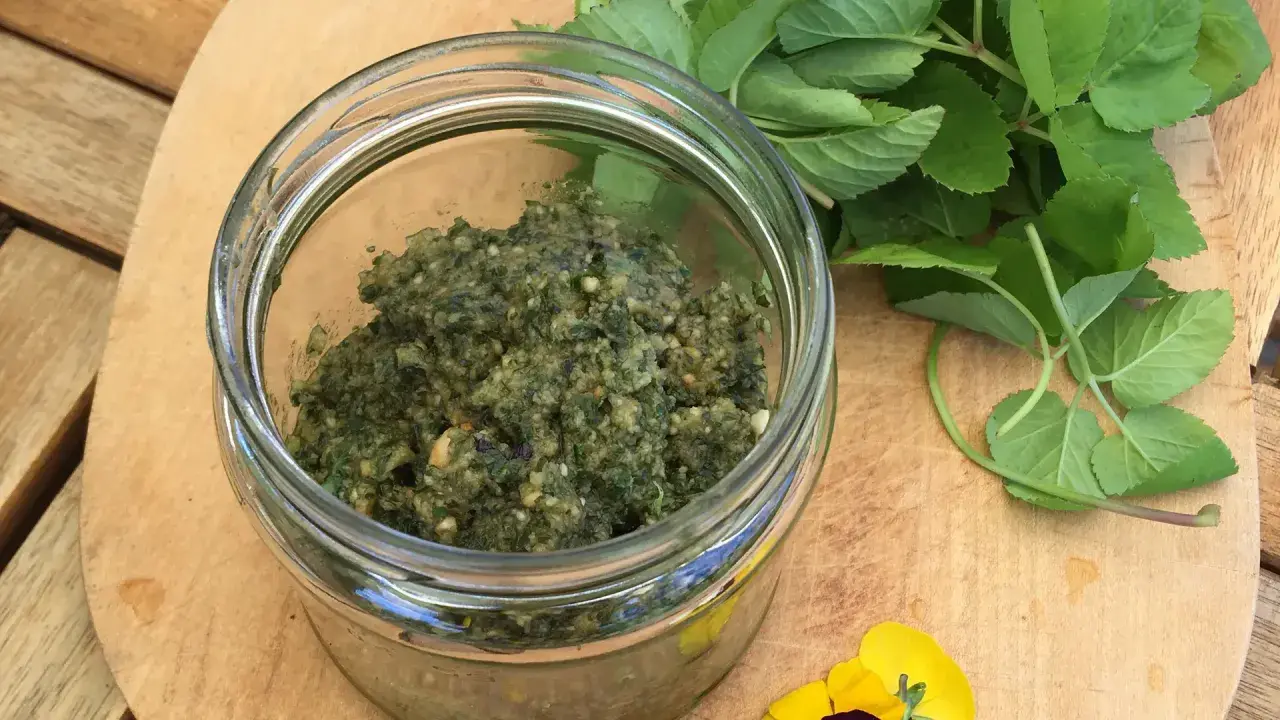 Frisches Giersch-Pesto im Glas, daneben grüne Blätter und gelbe Blüten. Perfekt für Giersch Rezepte.