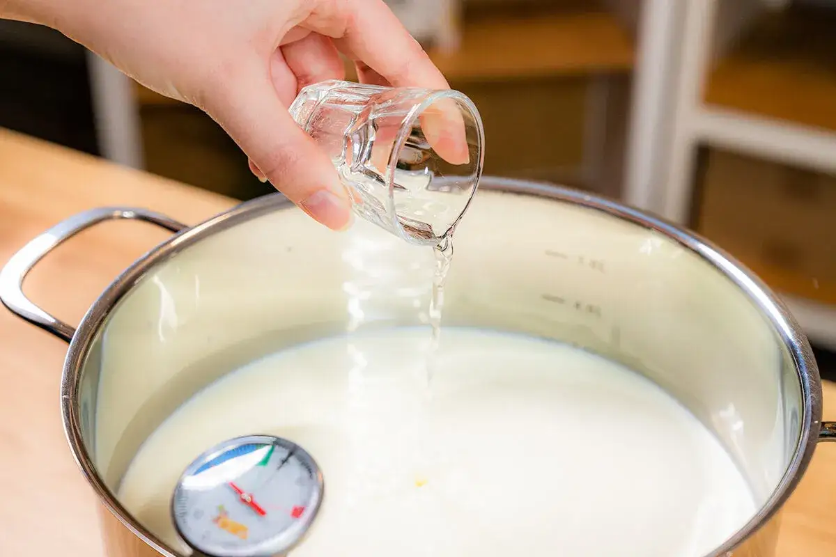 Flüssigkeit aus einem Schnapsglas wird in einen Topf mit Milch gegossen. Ein Thermometer zeigt die Temperatur an. Dies ist der Schritt, um tierisches Lab hinzuzufügen.