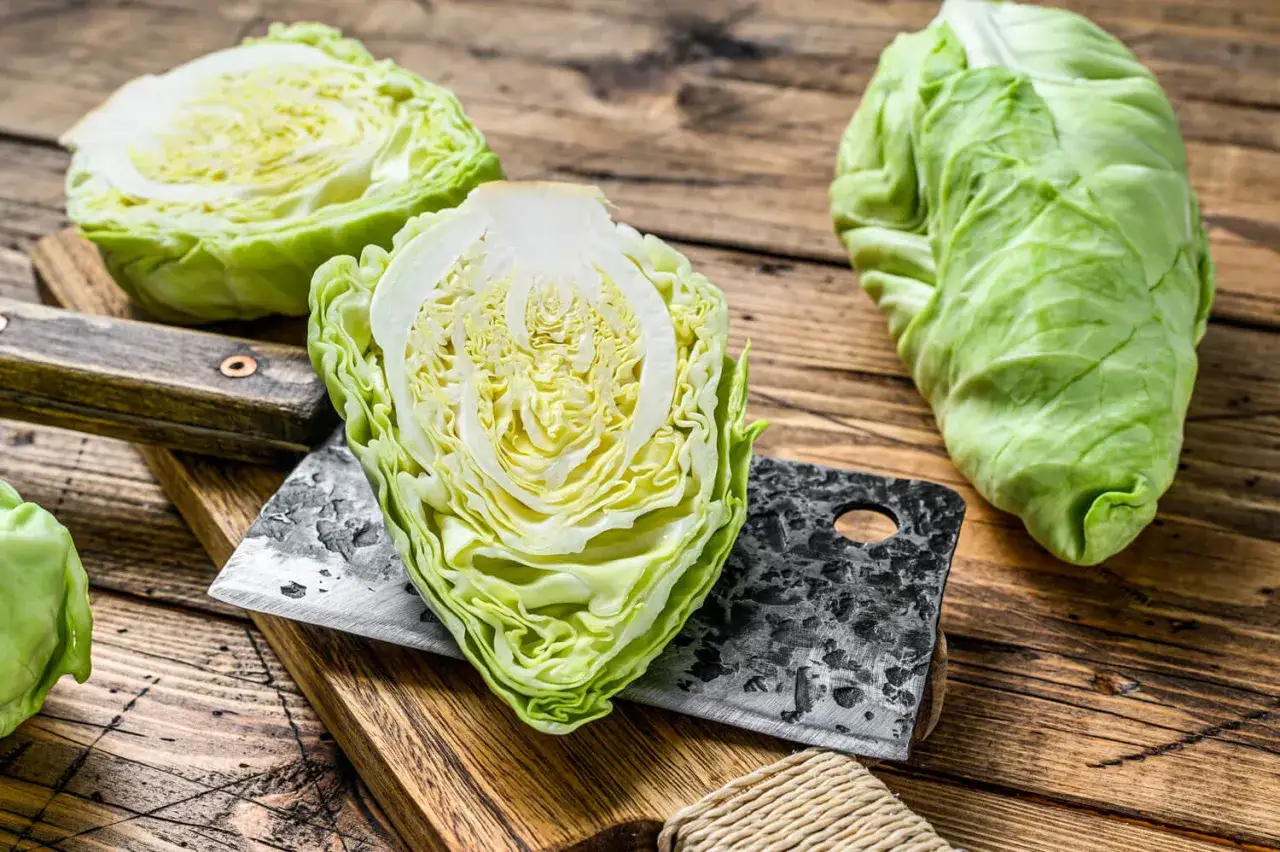 Frischer Spitzkohl, auf einem Holzbrett angeschnitten, bereit, um spitzkohl roh essen zu können.