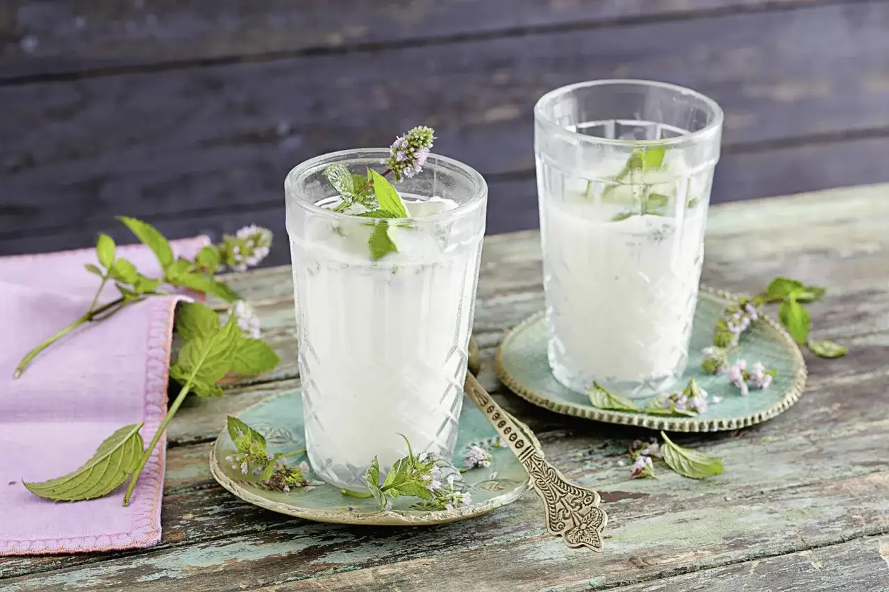 Erfrischender Ayran mit Minze, ein einfaches Ayran Rezept für heiße Tage.
