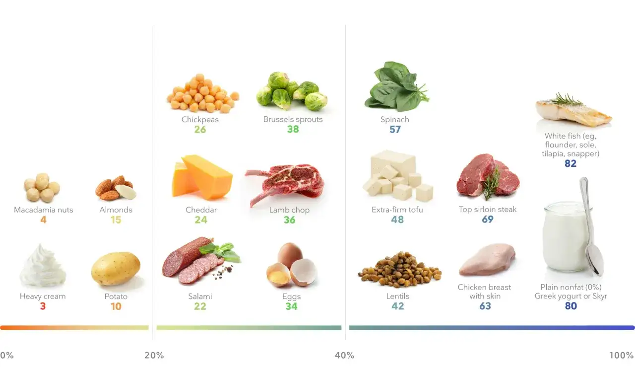 Visuelle Proteine Lebensmittel Tabelle: N&uuml;sse, H&uuml;lsenfr&uuml;chte, Fleisch, Fisch, Eier, Milchprodukte & mehr mit Proteingehalten.