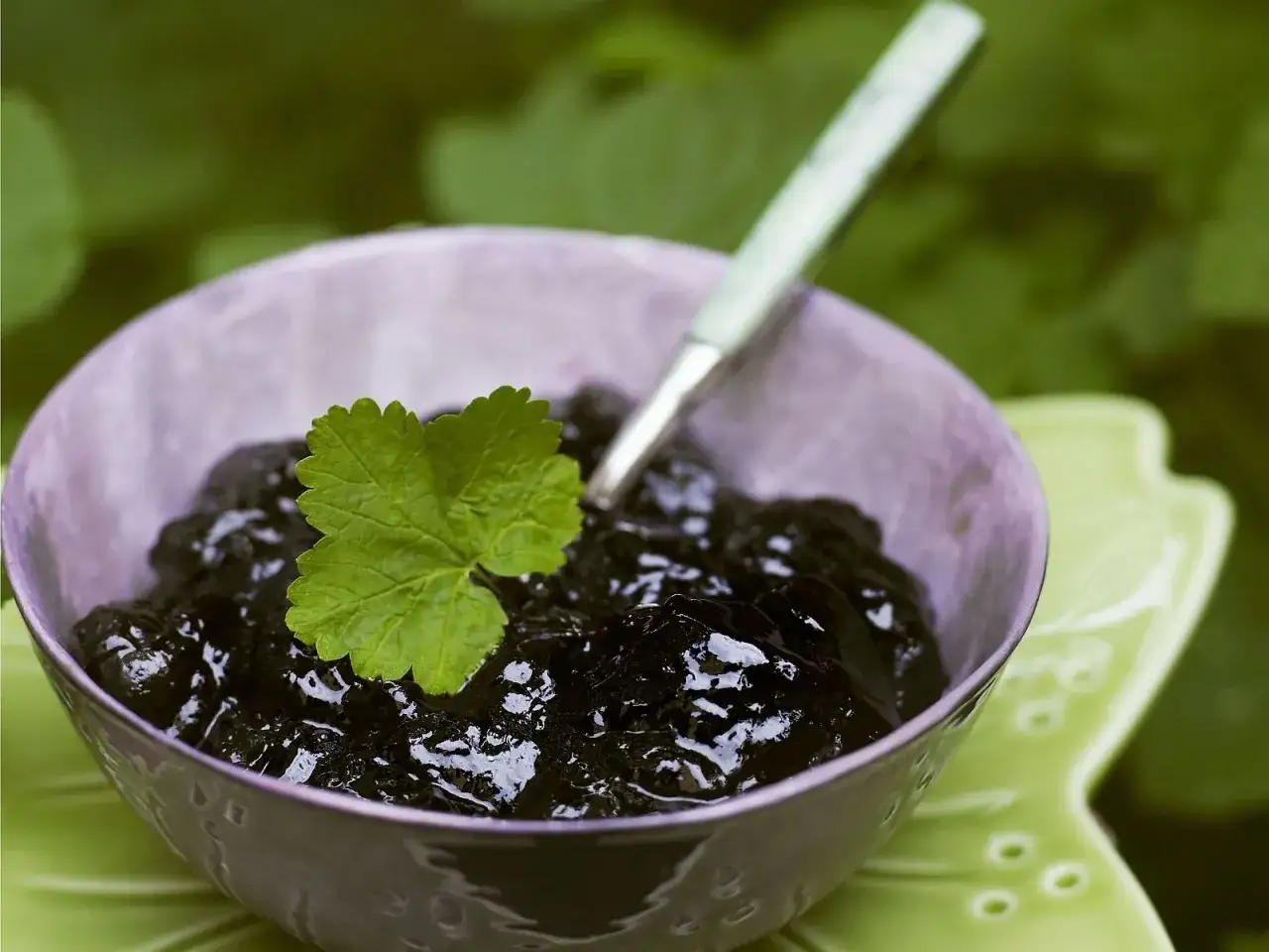 Schwarze Johannisbeermarmelade ohne Gelierzucker, garniert mit einem gr&uuml;nen Blatt, in einer lila Schale auf einem gr&uuml;nen Untersetzer.