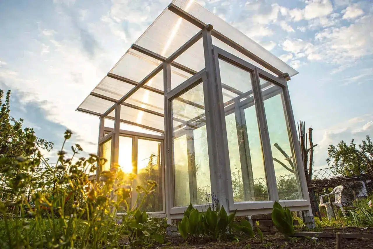 Ein selbstgebautes Tomatenhaus aus Holz und Glas, das im Abendlicht erstrahlt. Perfekt f&uuml;r den Anbau von Tomaten.