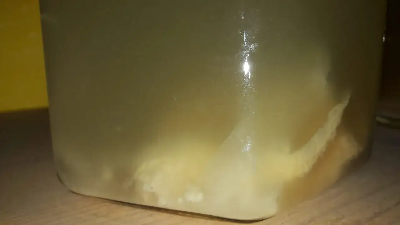 Ein Glas mit tr&uuml;ber Fl&uuml;ssigkeit und Fruchtst&uuml;cken, bereit, um essig selber machen.