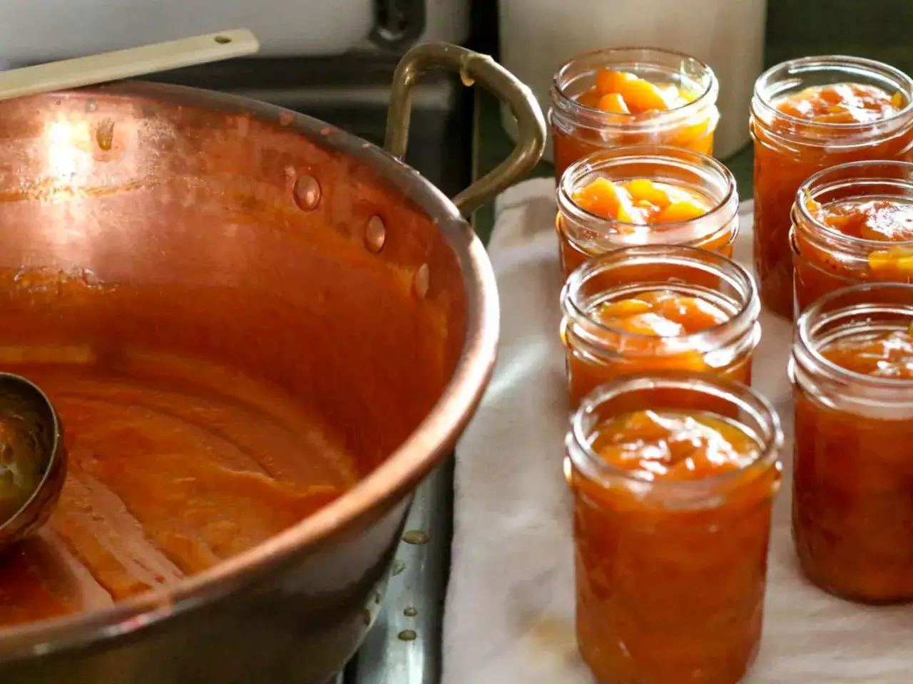 Frisch eingekochte Marmelade in Gläsern, bereit zum Abkühlen. So macht man Marmelade!