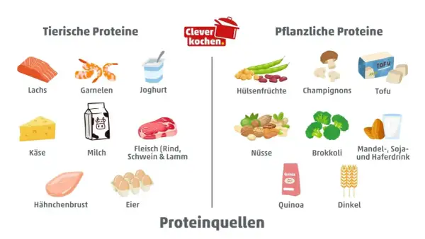 Übersicht über tierische und pflanzliche Proteine: Lachs, Garnelen, Joghurt, Fleisch, Käse, Milch, Hähnchenbrust, Eier sowie Hülsenfrüchte, Champignons, Tofu, Nüsse, Brokkoli, Quinoa, Dinkel und Drinks. Eine Proteine Lebensmittel Tabelle.