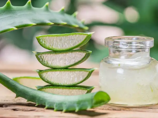 Frische Aloe Vera Scheiben und Gel in einem Glas. Ein gesunder Weg, Aloe Vera zu essen.
