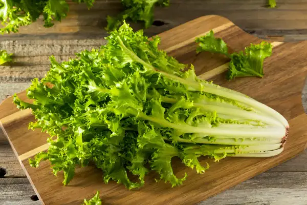 Ein Bund grüner Endivie liegt auf einem Holzbrett. Diese und andere Salatsorten sind auf Bildern und mit Namen leicht zu finden.