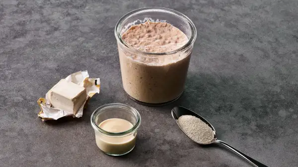 Frischer Hefewürfel, ein Glas mit Sauerteig, eine kleine Schale mit Milch und ein Löffel mit Trockenhefe – Zutaten für einen Hefe Ersatz.