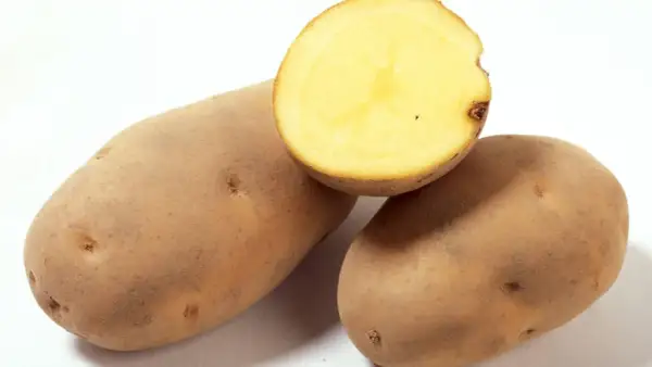 Drei rohe Kartoffeln, eine davon halbiert, zeigen ihr hellgelbes Inneres. Wer mag, kann sie roh essen.