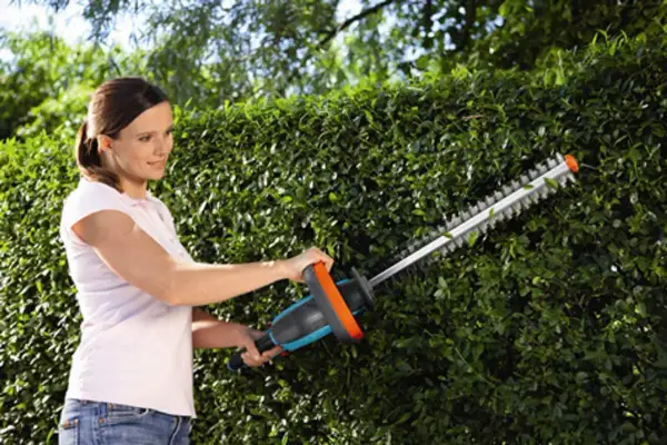 Frau schneidet mit einer Heckenschere eine grüne Hecke.