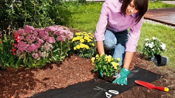 Frau verlegt Unkrautvlies im Garten, um ihre Blumenbeete zu schützen. Werkzeuge wie Schere und Spaten liegen bereit.