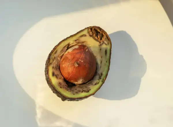 Halbierte Avocado mit braunem Inneren und großem Kern. Die Frucht ist nicht mehr frisch.